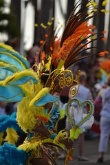 Le costume en plumes