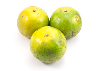 Group of Mandarine oranges