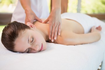 Fototapeta na wymiar Attractive woman receiving back massage at spa center