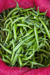 Fresh Green Beans on Display at Farmers Market