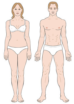 Human body full figure