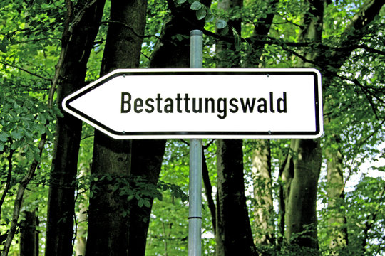 Friedwald
