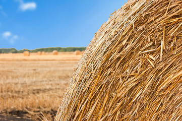 Hay bail harvesting in golden field landscape