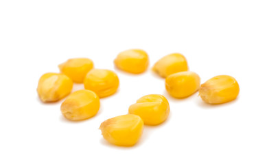 Canned Corn close-up