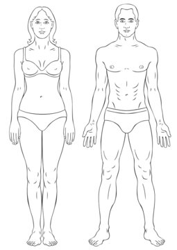 Man and woman body outline