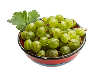 Gooseberry