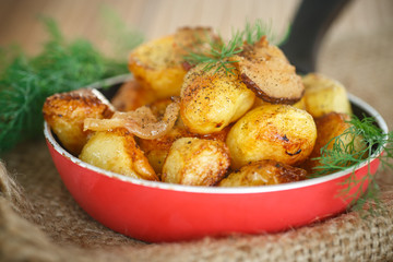 fried potatoes