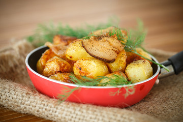 fried potatoes