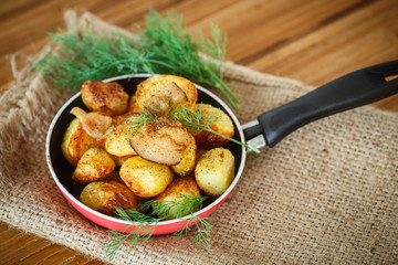 fried potatoes