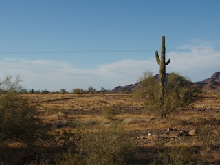 paesaggio Arizona