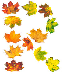 Naklejka na ściany i meble Letter R composed of autumn maple leafs