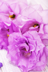 beautiful artificial eustomas