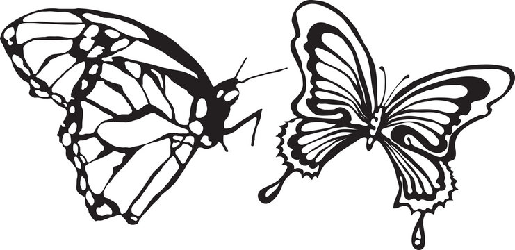 Butterfly tattoo vector