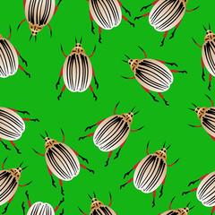Colorado potato beetles seamless pattern
