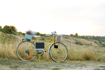 Fototapeta premium Bicycle in meadow during sunset