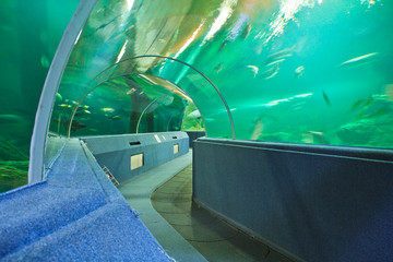 Obraz na płótnie Canvas Aquarium underwater tunnel
