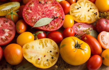 Colorful Tomatoes Background. Fresh Organic Tomatoes.