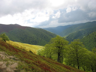 Fototapeta premium Горные просторы Карпатских гор