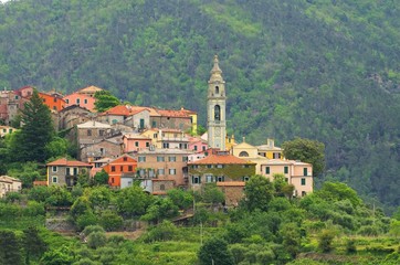 Obraz premium Velva 01