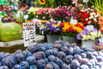Plums on the market stand in Poland.