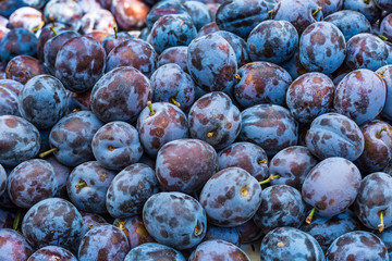 Plums on the market stand in Poland.