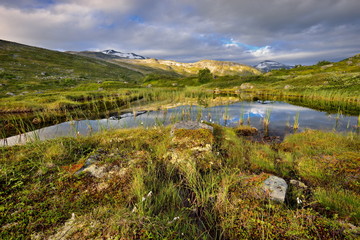 Fototapeta na wymiar Norwegia , piękny krajobraz