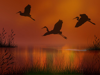 Storks flying over the lake