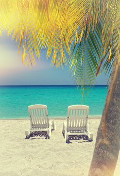 Caribbean beach chairs and palm