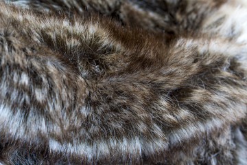 Fur detail