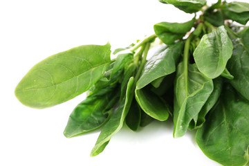 Tuft of fresh sorrel isolated on white closeup
