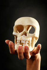Human skull in hand on dark background