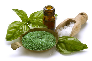 Βασιλικός Ocimum basilicum      ריחן Базилик душистый ريحان