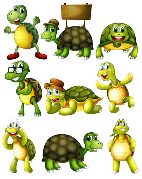 Turtle  actions
