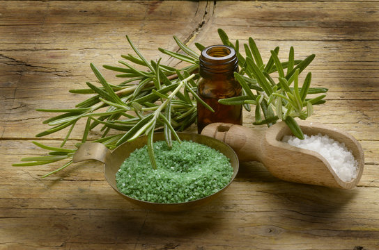 Rosmarinus officinalis 迷迭香 Biberiye Rosmarin Rozmaryn lekarski