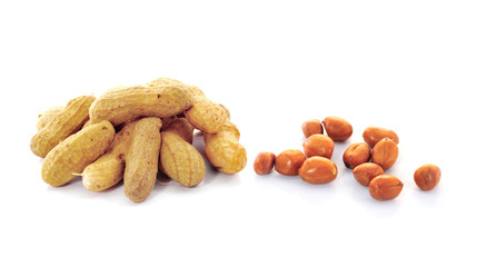 Peanut isolated on white background