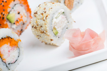 Ginger in focus and shushi on the background