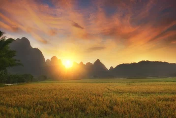 Foto op Plexiglas landschap in Yangshuo Guilin, China © xiaoliangge