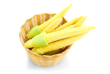 Baby corn or young corn