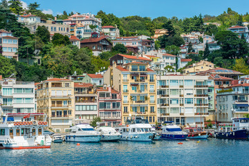 Fototapeta premium Houses on the Bosphorus