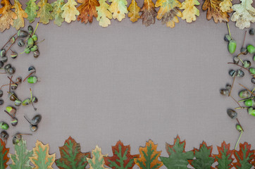 Naklejka na ściany i meble autumn forest frame