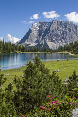 Seebensee mit Zugspitze