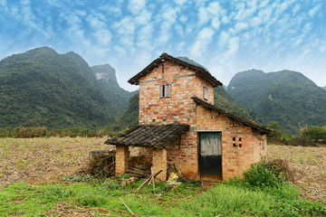 Rural landscape with house in a Field of Sugarcane