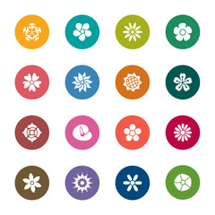 Flowers Color Icons