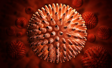 Swine Influenza Virus