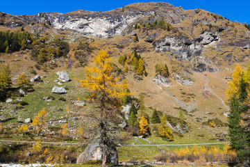 Mountain landscape