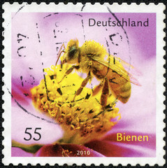 stamp printed in the Germany shows Honey Bee and Flower