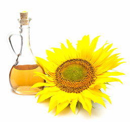 Sunflower  and oil