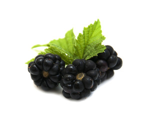 Blackberries