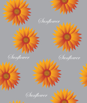 Seamless pattern of sunflowers on grey background