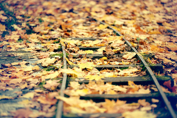 Railways autumn leaves